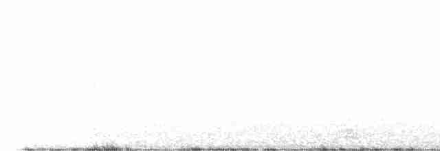Black-throated Gray Warbler - ML445041211