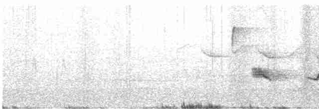 Kara Kanatlı Piranga - ML445092881