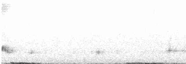 Weißkehlmonarch - ML445107821