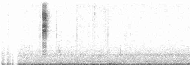 Wren-like Rushbird - ML445126231