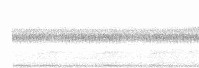 holub ametystový - ML445136441