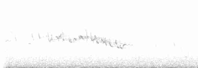Kap-Bülbülgrasmücke - ML445206241