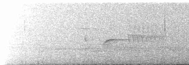 Ring-necked Pheasant - ML445443241