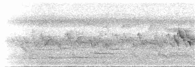 Graumantel-Brillenvogel - ML44554471