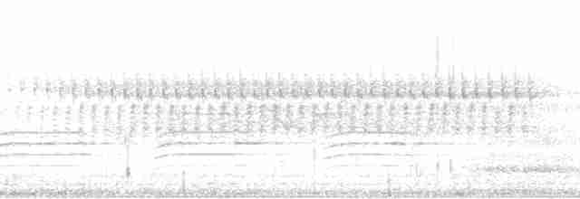 Oberholser Sinekkapanı - ML44563