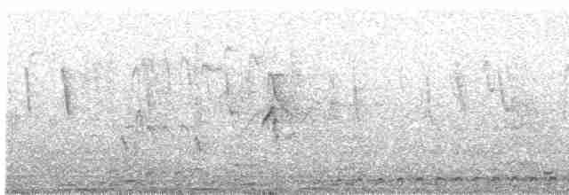 Northern Red-billed Hornbill - ML445726331