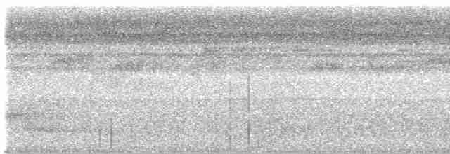 Tinamou de Berlepsch - ML445740281