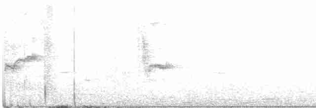 Seychellennektarvogel - ML445740551