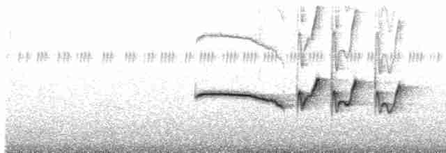 Long-billed Wren-Babbler - ML44578411