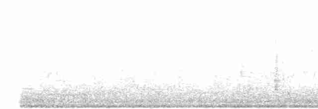 strakapoud osikový/americký - ML445859921