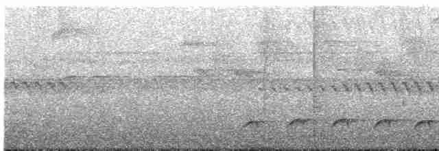 Olivgrau-Ameisenvogel - ML445867721