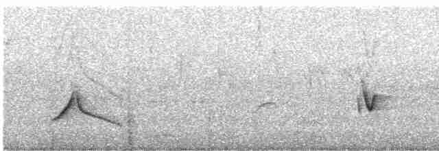 Черноголовый толстонос - ML445876231