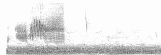Приморская овсянка-барсучок - ML445910271