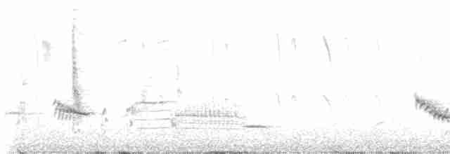 Al Kanatlı Karatavuk (californicus/mailliardorum) - ML446066421