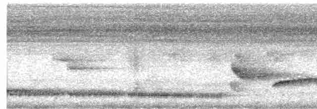 Белобровый шама - ML446075221