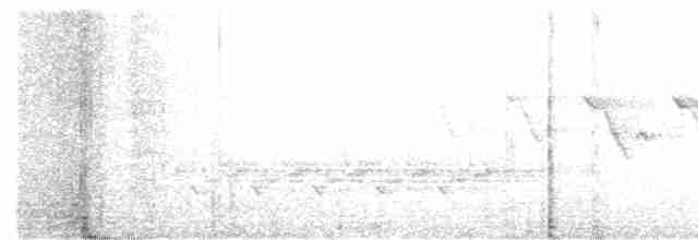 Каролинский крапивник - ML446111101