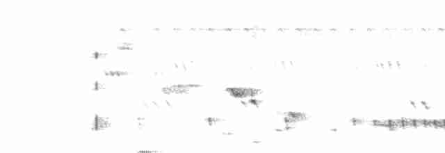 Indiennachtschwalbe - ML446132871