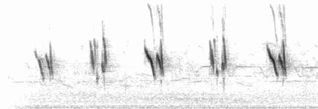 סנונית עצים - ML446136911