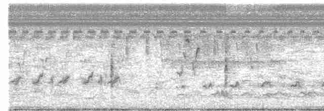 Clamorous Reed Warbler - ML446143691