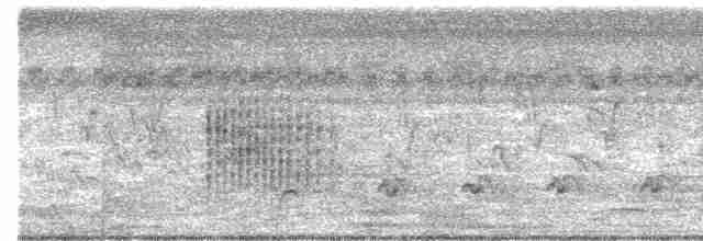 Clamorous Reed Warbler - ML446154321