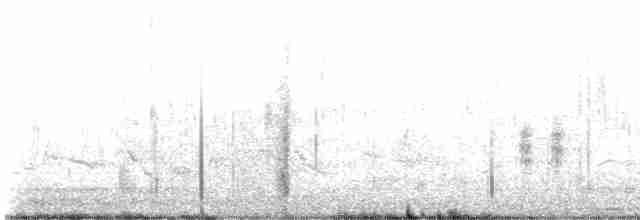 Oriole des vergers - ML446223471