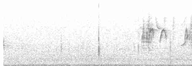 Kara Kulaklı Kuyrukkakan - ML446294901