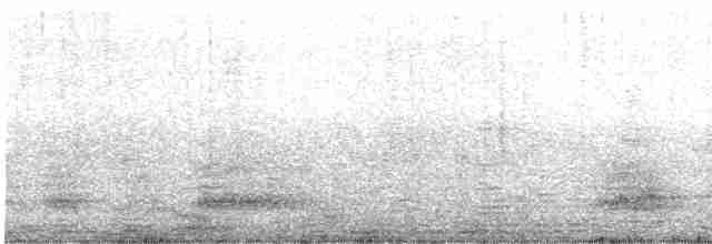 Бурый пеликан - ML446399631