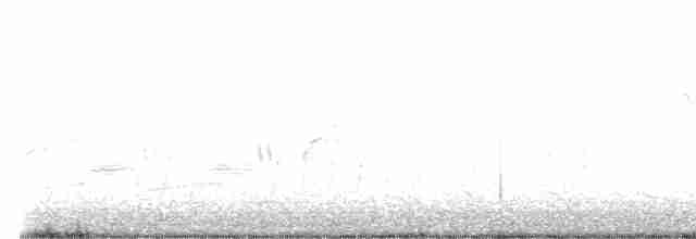 Белоголовый орлан - ML446411961