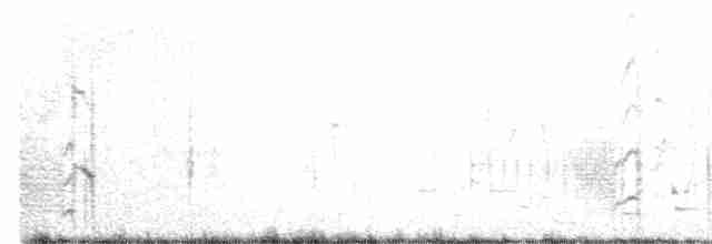 vlaštovka pestrá - ML446421721