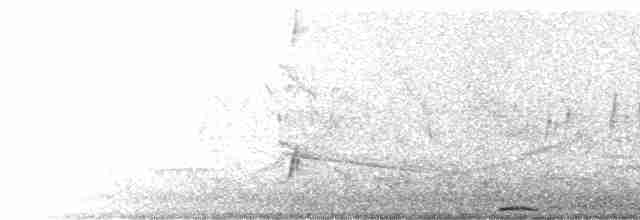 Russet-crowned Motmot - ML446459461