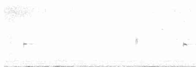 Carouge à épaulettes (californicus/mailliardorum) - ML446464861