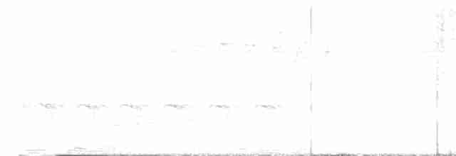 Zeledon Karıncakuşu - ML446573111