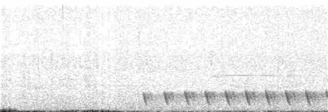 Gray Nightjar - ML44671021