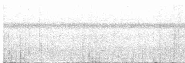 Лінивка-строкатка маскова (підвид tectus/picatus) - ML446722721