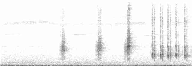 Oriental Reed Warbler - ML44672921