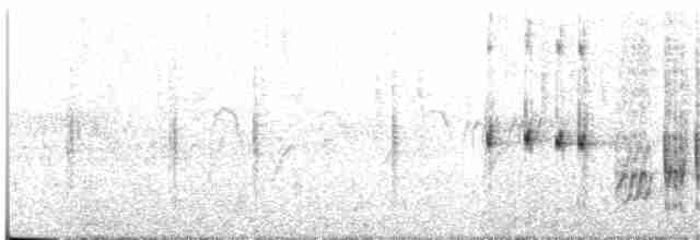 Black-browed Reed Warbler - ML44672991