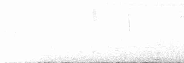 Cerulean Warbler - ML446747251