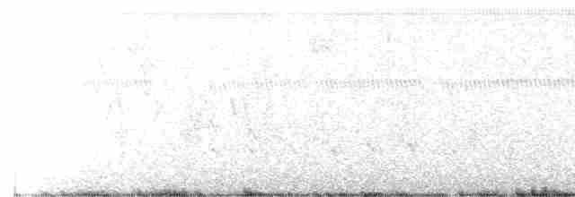 Cerulean Warbler - ML446747461