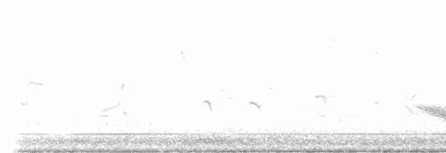 Дрізд-короткодзьоб бурий - ML446810371