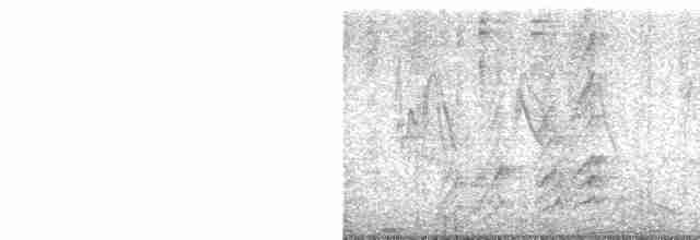 Kara Gagalı Saksağan - ML446824601