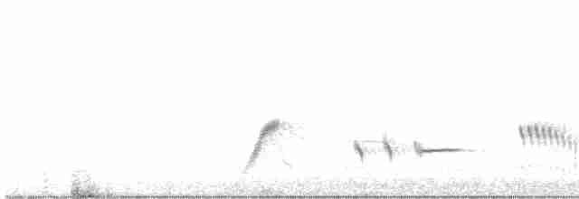 Psophode à menton noir - ML446909501