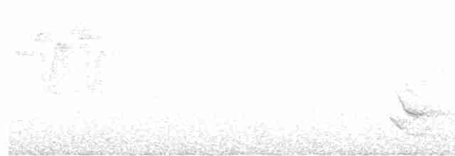 Бурый соловьиный дрозд - ML446909551