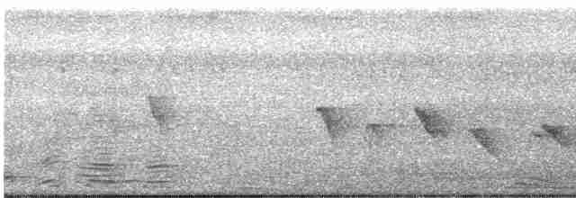 Роскошная нектарница - ML446956221