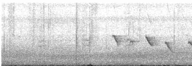 Роскошная нектарница - ML446962461
