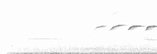 Field Sparrow - ML447095741