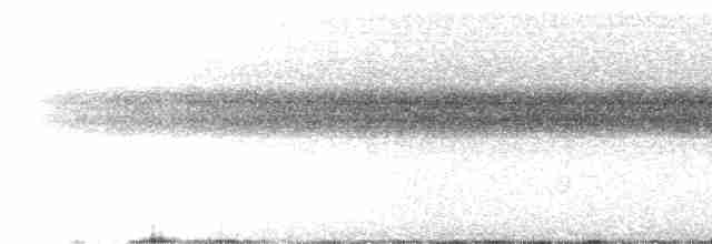 Chiriqui Quail-Dove - ML447120591