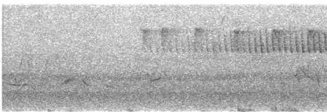 Paruline vermivore - ML447155021