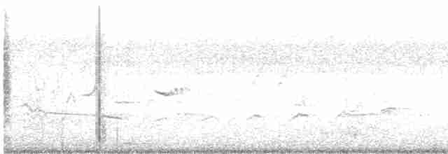 Зозуля білогорла - ML447188821