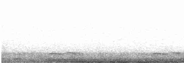 Winternachtschwalbe - ML447202801