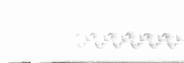 Каролинский крапивник - ML447225751